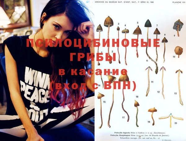 винт Аркадак