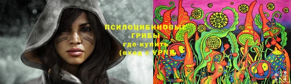 винт Аркадак